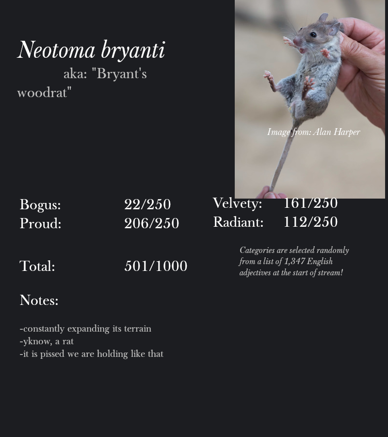 Neotoma bryanti